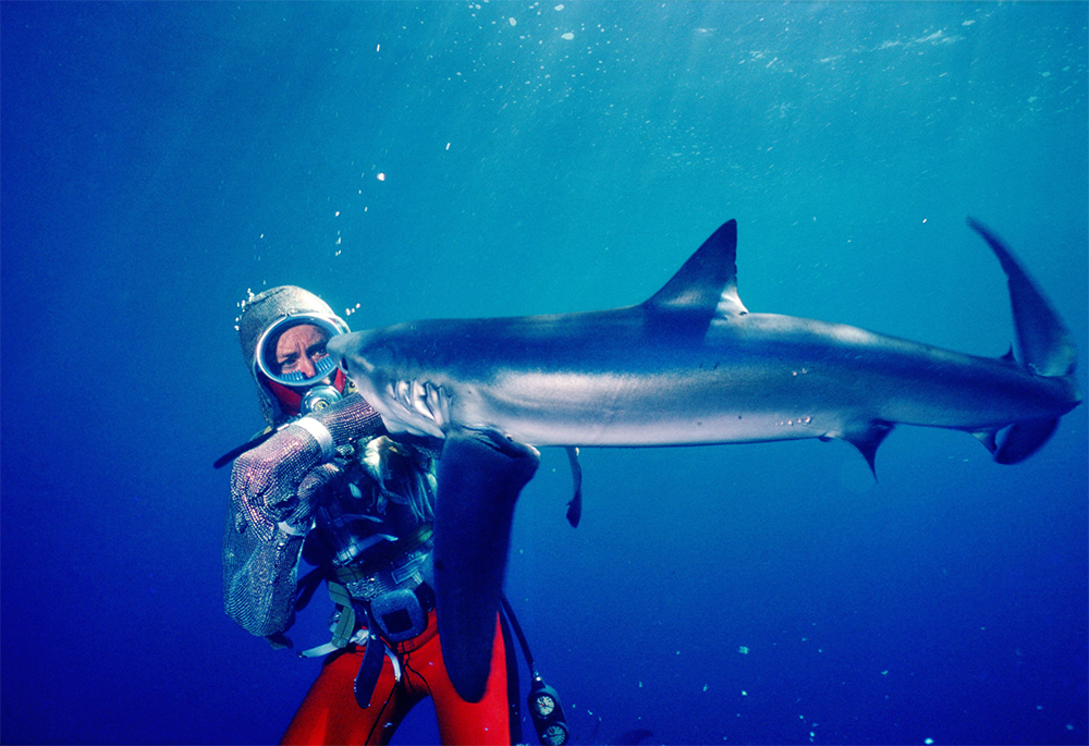 Valerie Taylor in Playing With Sharks (courtesy of Sundance Institute)
